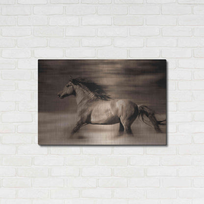 Luxe Metal Art 'Wind Runner' by Lisa Dearing, Metal Wall Art,36x24