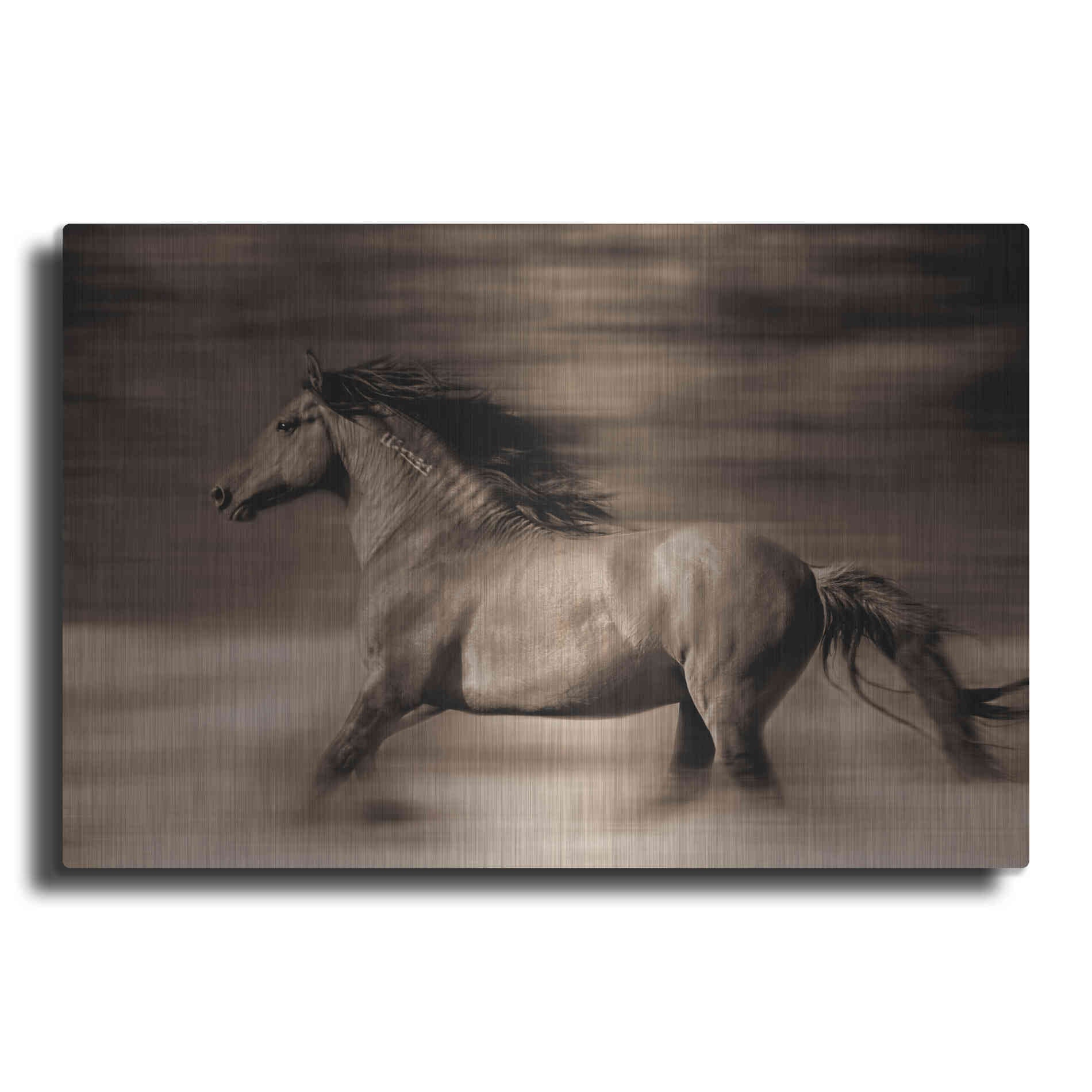Luxe Metal Art 'Wind Runner' by Lisa Dearing, Metal Wall Art