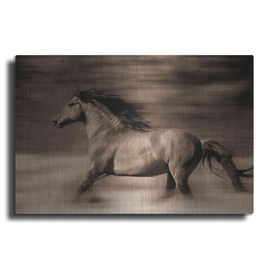 Luxe Metal Art 'Wind Runner' by Lisa Dearing, Metal Wall Art