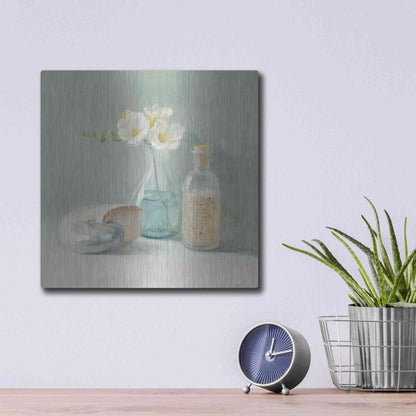 Luxe Metal Art 'Freesia Spa' by Danhui Nai, Metal Wall Art,12x12