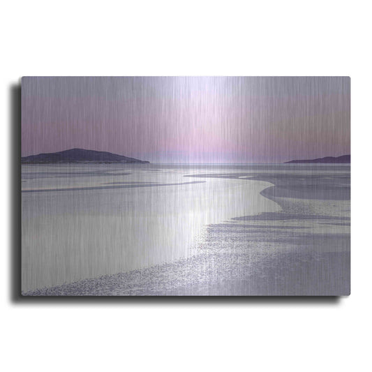 Luxe Metal Art 'Silver Silence' by Lynne Douglas, Metal Wall Art