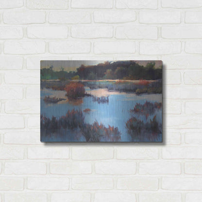 Luxe Metal Art 'Ace Basin Creek' by Madeline Dukes, Metal Wall Art,24x16