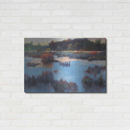 Luxe Metal Art 'Ace Basin Creek' by Madeline Dukes, Metal Wall Art,36x24