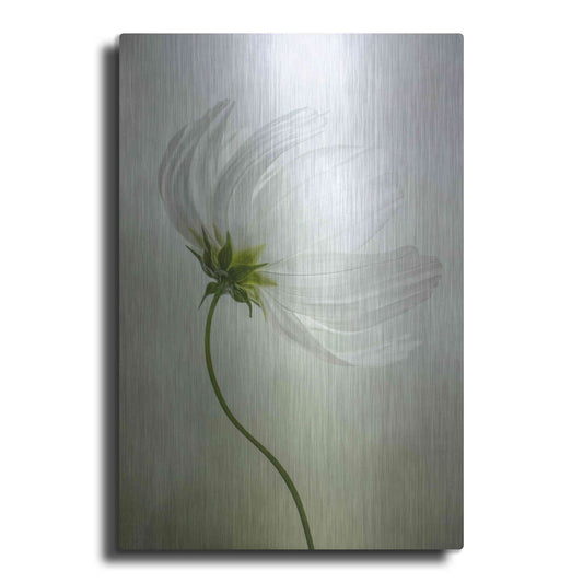 Luxe Metal Art 'Cosmos Charisma' by Mandy Disher, Metal Wall Art