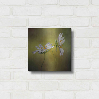 Luxe Metal Art 'Echo' by Mandy Disher, Metal Wall Art,12x12