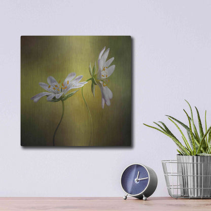 Luxe Metal Art 'Echo' by Mandy Disher, Metal Wall Art,12x12