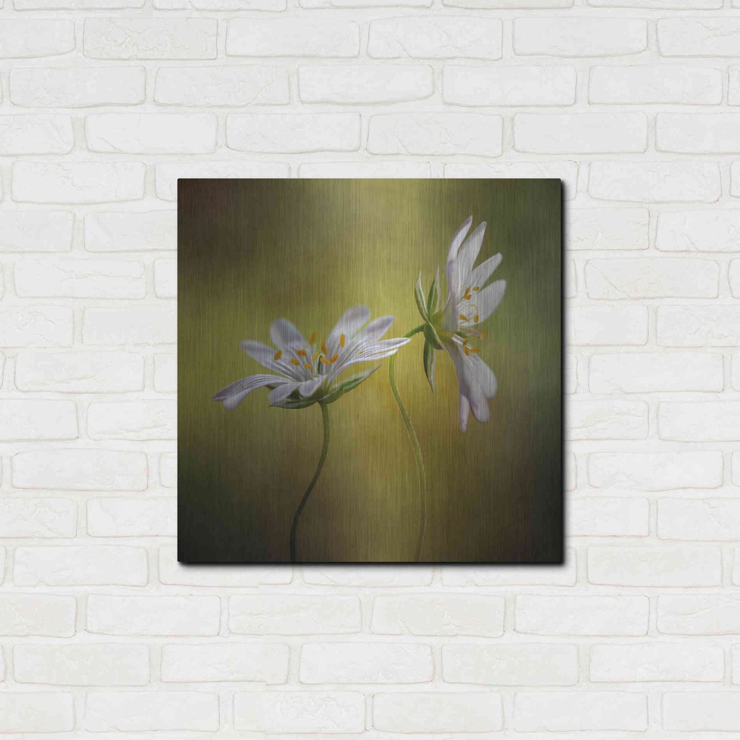 Luxe Metal Art 'Echo' by Mandy Disher, Metal Wall Art,24x24