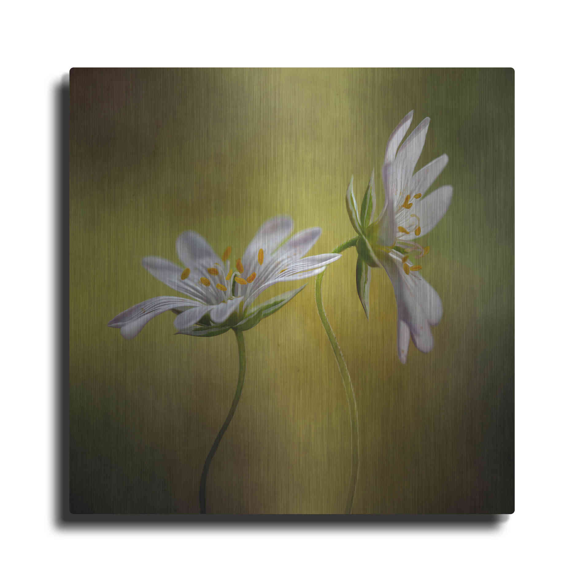 Luxe Metal Art 'Echo' by Mandy Disher, Metal Wall Art