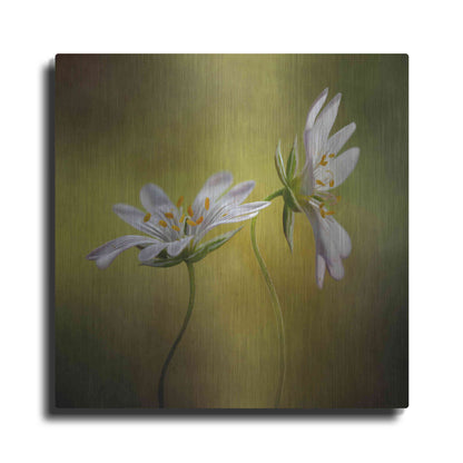 Luxe Metal Art 'Echo' by Mandy Disher, Metal Wall Art