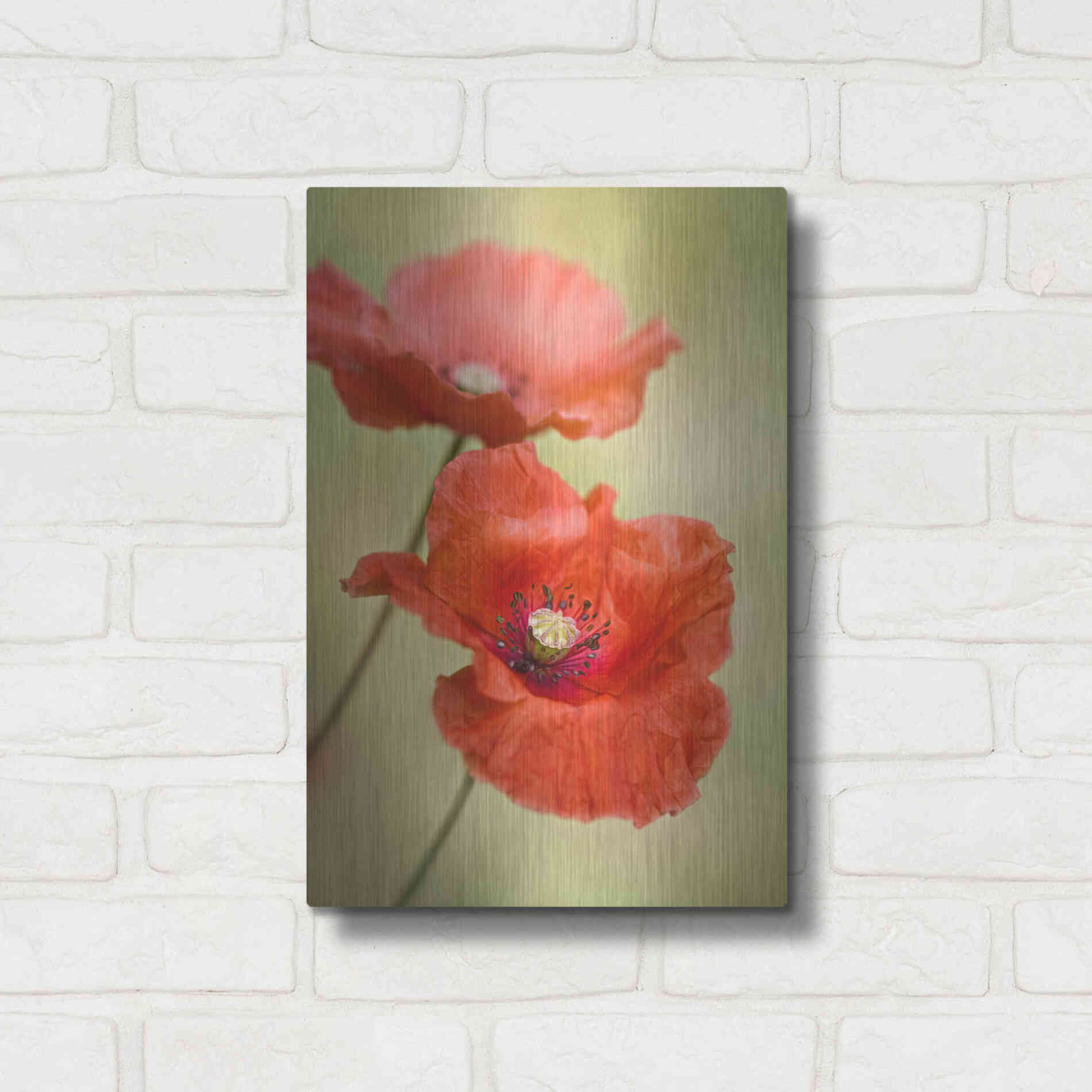 Luxe Metal Art 'Papaver Passion' by Mandy Disher, Metal Wall Art,12x16