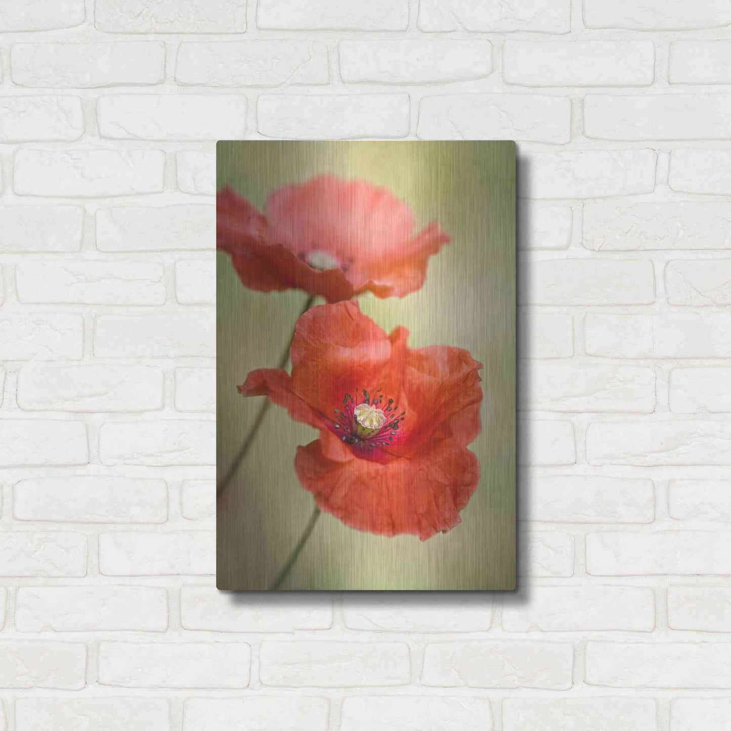 Luxe Metal Art 'Papaver Passion' by Mandy Disher, Metal Wall Art,16x24