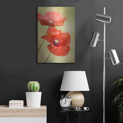 Luxe Metal Art 'Papaver Passion' by Mandy Disher, Metal Wall Art,16x24