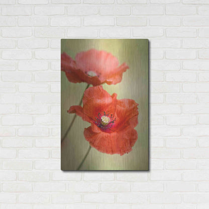 Luxe Metal Art 'Papaver Passion' by Mandy Disher, Metal Wall Art,24x36