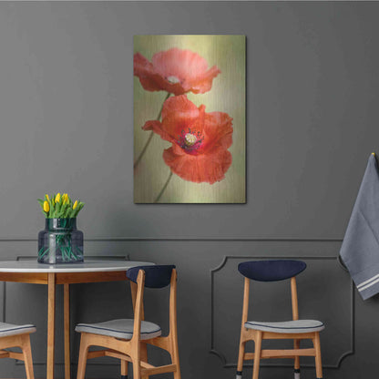 Luxe Metal Art 'Papaver Passion' by Mandy Disher, Metal Wall Art,24x36