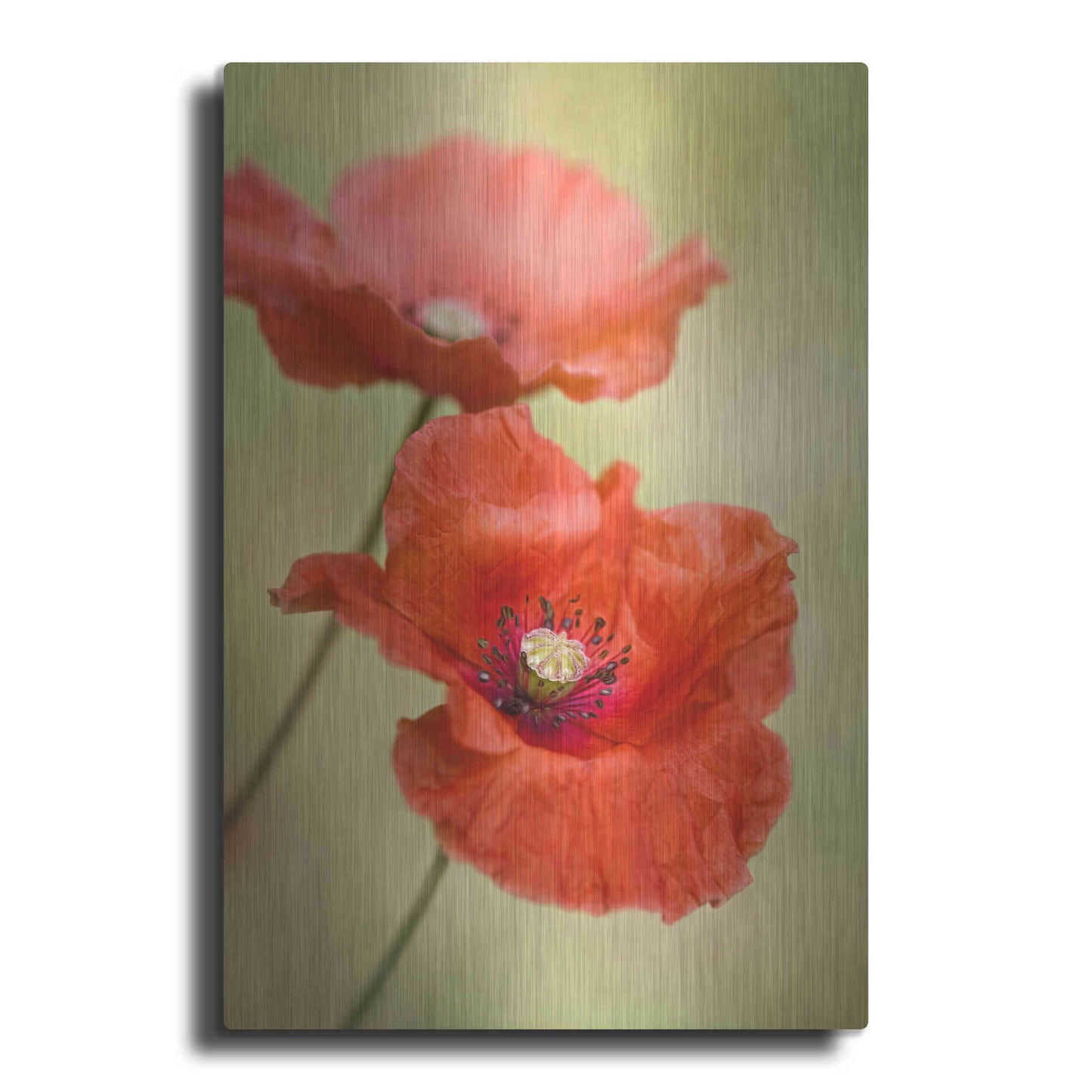 Luxe Metal Art 'Papaver Passion' by Mandy Disher, Metal Wall Art