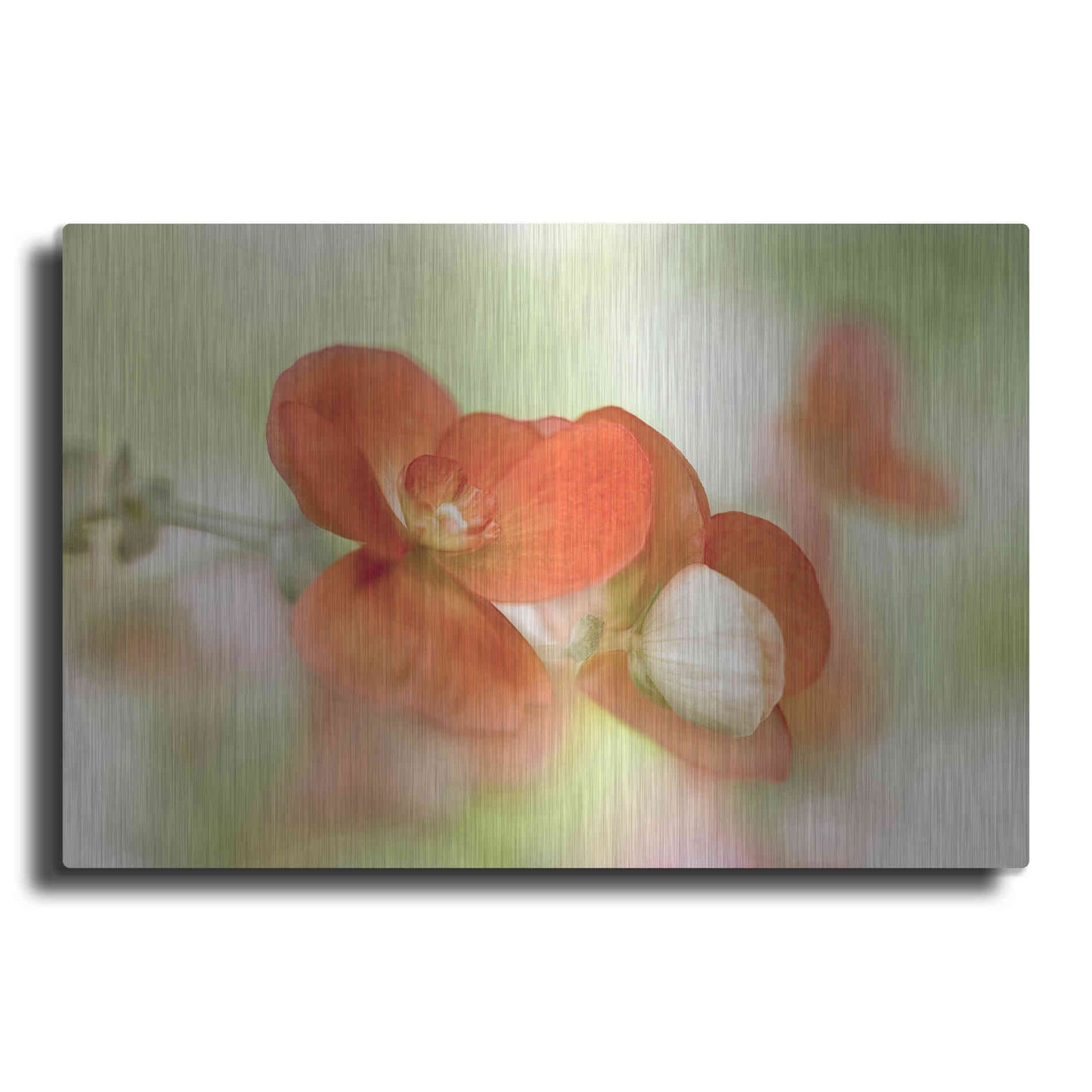 Luxe Metal Art 'Summer Glow' by Mandy Disher, Metal Wall Art