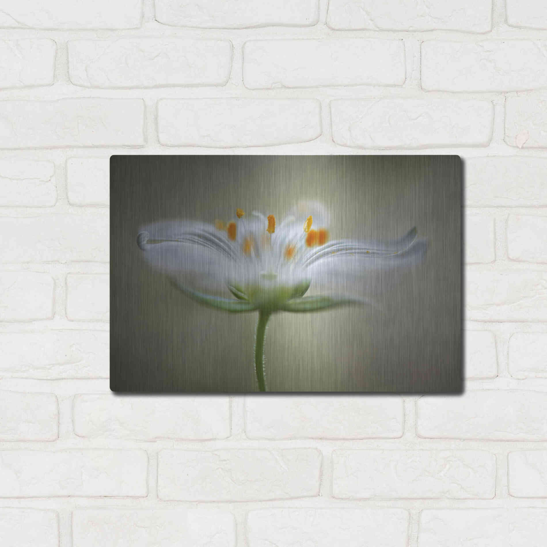 Luxe Metal Art 'Summer Swirl' by Mandy Disher, Metal Wall Art,16x12