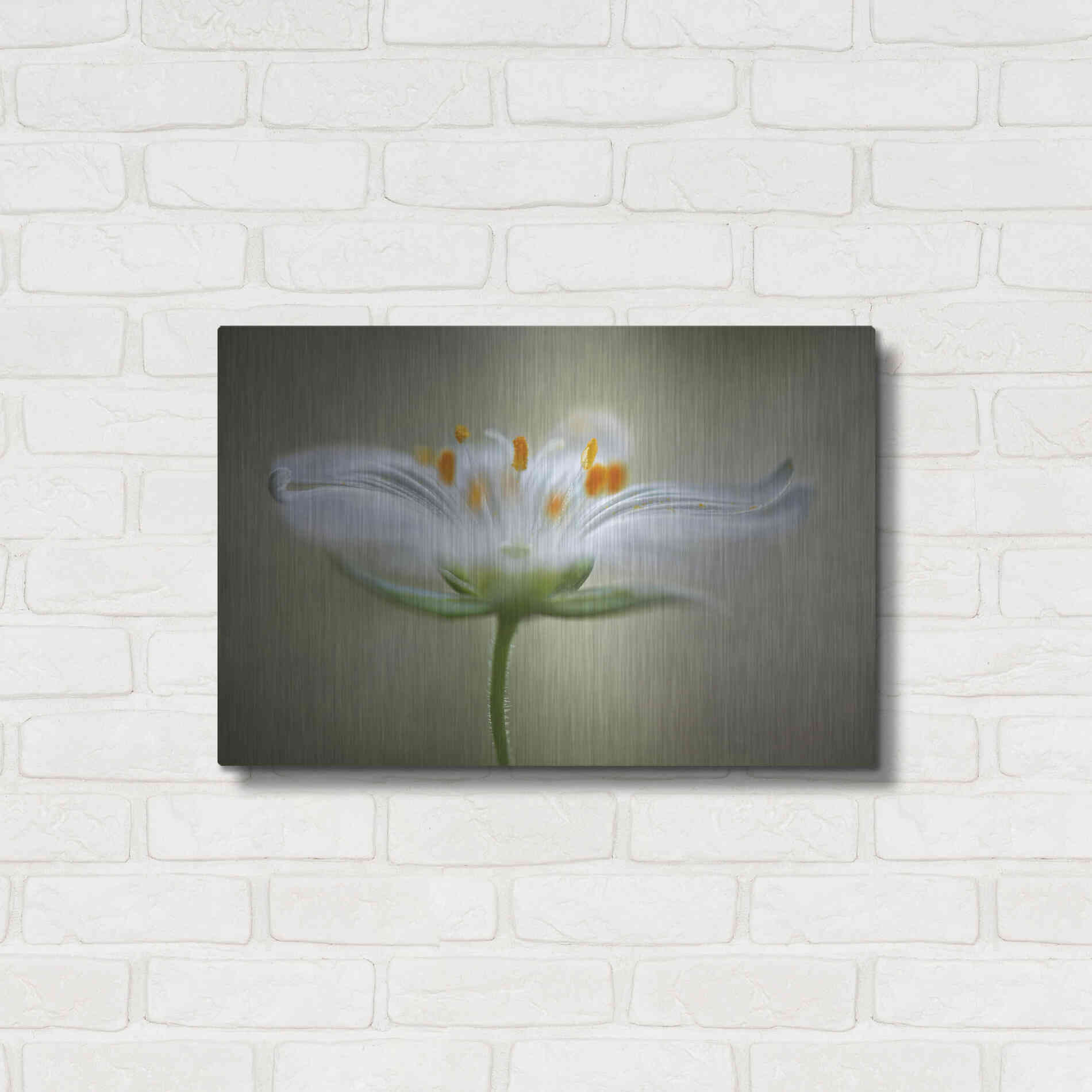 Luxe Metal Art 'Summer Swirl' by Mandy Disher, Metal Wall Art,24x16