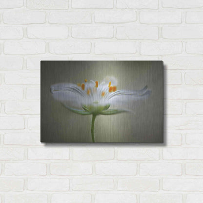 Luxe Metal Art 'Summer Swirl' by Mandy Disher, Metal Wall Art,24x16