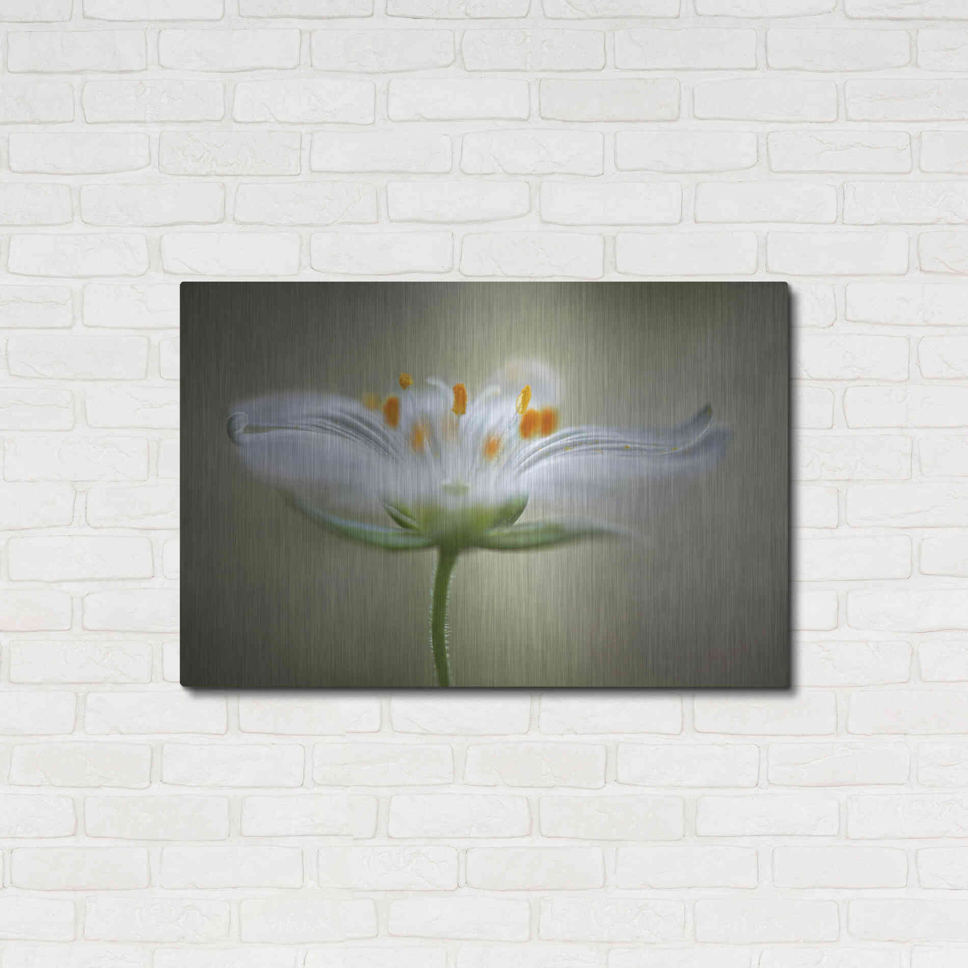 Luxe Metal Art 'Summer Swirl' by Mandy Disher, Metal Wall Art,36x24