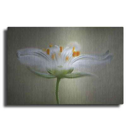 Luxe Metal Art 'Summer Swirl' by Mandy Disher, Metal Wall Art