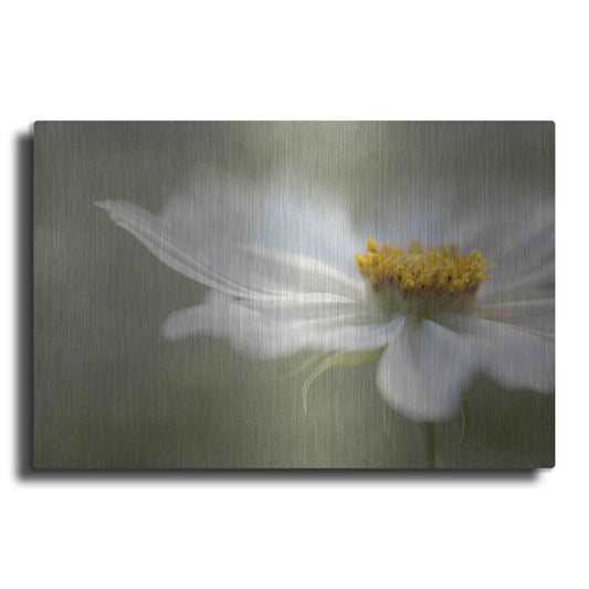 Luxe Metal Art 'Whisper' by Mandy Disher, Metal Wall Art