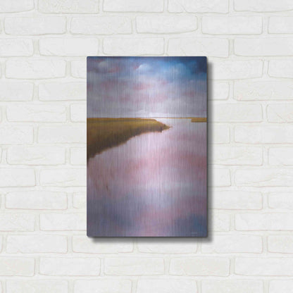 Luxe Metal Art 'Lowlands' by Michael A. Diliberto, Metal Wall Art,16x24