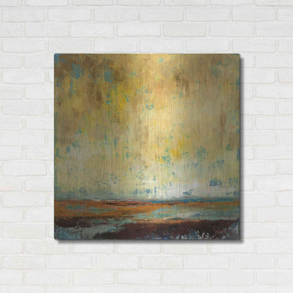 Luxe Metal Art 'Air Quality' by Patrick Dennis, Metal Wall Art,36x36