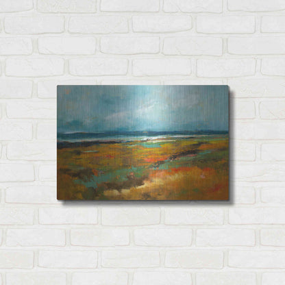 Luxe Metal Art 'Benchmarks' by Patrick Dennis, Metal Wall Art,24x16