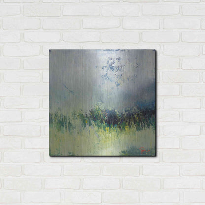 Luxe Metal Art 'In The Weeds' by Patrick Dennis, Metal Wall Art,24x24