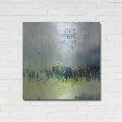 Luxe Metal Art 'In The Weeds' by Patrick Dennis, Metal Wall Art,36x36