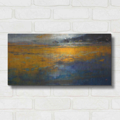 Luxe Metal Art 'Marshes' by Patrick Dennis, Metal Wall Art,24x12