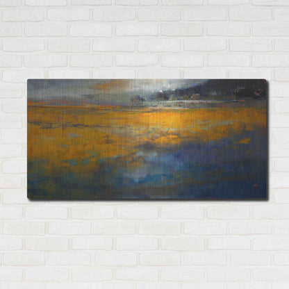 Luxe Metal Art 'Marshes' by Patrick Dennis, Metal Wall Art,48x24