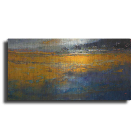 Luxe Metal Art 'Marshes' by Patrick Dennis, Metal Wall Art
