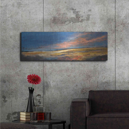 Luxe Metal Art 'Ranch Romance' by Patrick Dennis, Metal Wall Art,48x16