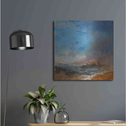 Luxe Metal Art 'Reclaimed Land' by Patrick Dennis, Metal Wall Art,24x24