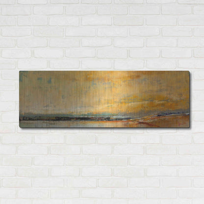 Luxe Metal Art 'Winter Sky' by Patrick Dennis, Metal Wall Art,48x16