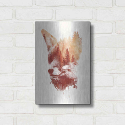 Luxe Metal Art 'Blind Fox' by Robert Farkas, Metal Wall Art,12x16