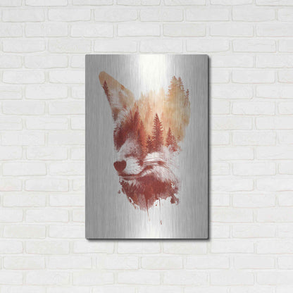Luxe Metal Art 'Blind Fox' by Robert Farkas, Metal Wall Art,24x36