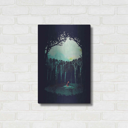 Luxe Metal Art 'Deep In The Forest' by Robert Farkas, Metal Wall Art,16x24
