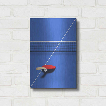 Luxe Metal Art 'Pingpong' by Robert Farkas, Metal Wall Art,12x16