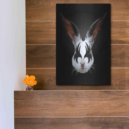 Luxe Metal Art 'Rabbit Rocks' by Robert Farkas, Metal Wall Art,12x16