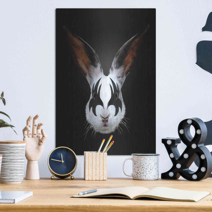 Luxe Metal Art 'Rabbit Rocks' by Robert Farkas, Metal Wall Art,12x16