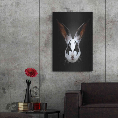 Luxe Metal Art 'Rabbit Rocks' by Robert Farkas, Metal Wall Art,24x36
