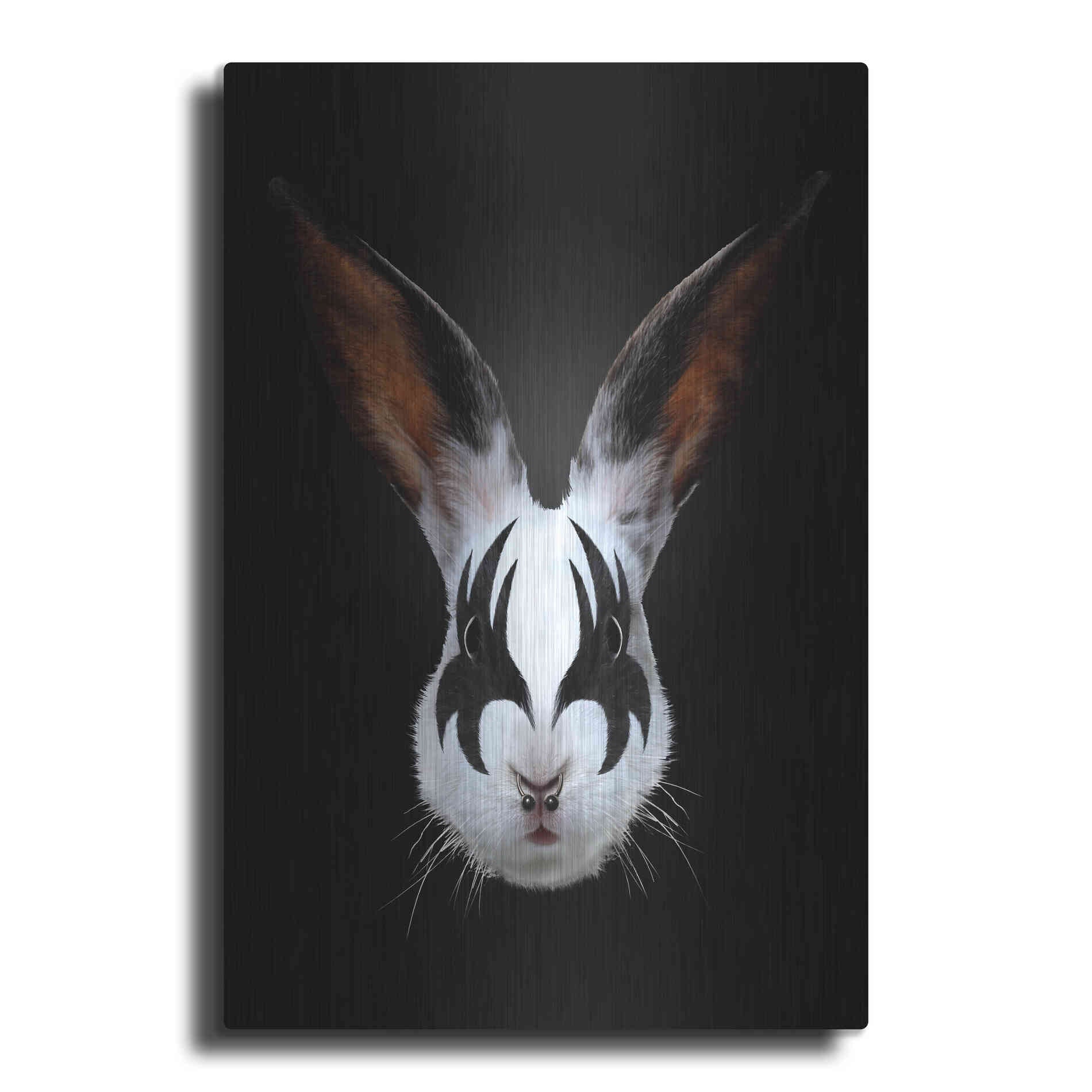 Luxe Metal Art 'Rabbit Rocks' by Robert Farkas, Metal Wall Art