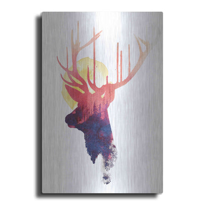 Luxe Metal Art 'The Burning Sun' by Robert Farkas, Metal Wall Art