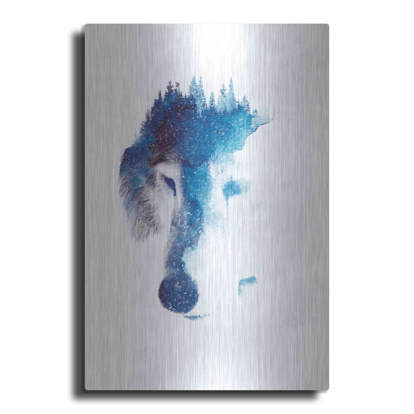 Luxe Metal Art 'Through Many Storms' by Robert Farkas, Metal Wall Art
