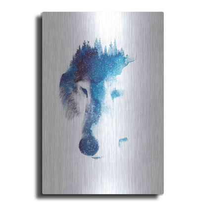 Luxe Metal Art 'Through Many Storms' by Robert Farkas, Metal Wall Art