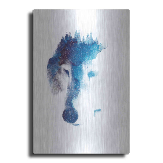 Luxe Metal Art 'Through Many Storms' by Robert Farkas, Metal Wall Art