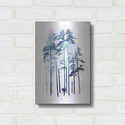 Luxe Metal Art 'Winter Wolf' by Robert Farkas, Metal Wall Art,12x16